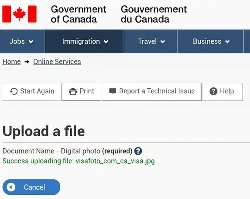 Экран результата загрузки фото на канадскую визу