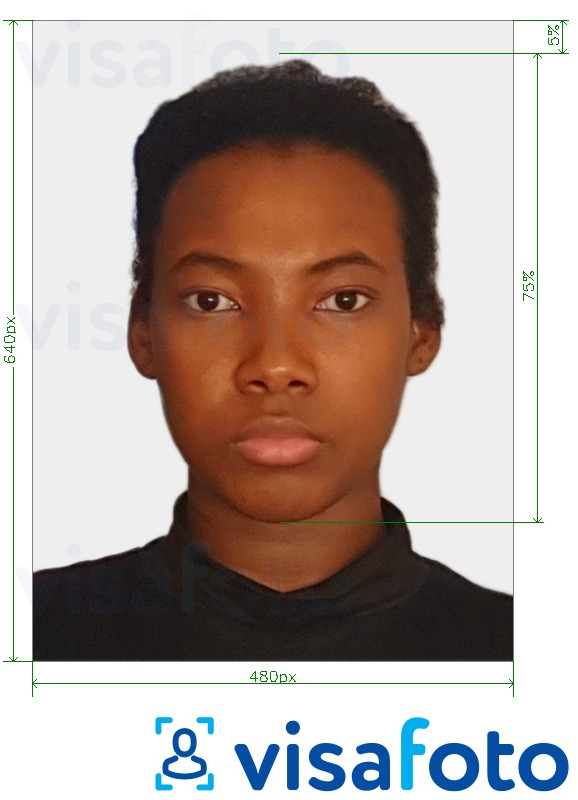 Example of photo for Bahamas passport 480x640 pixels with exact size specification