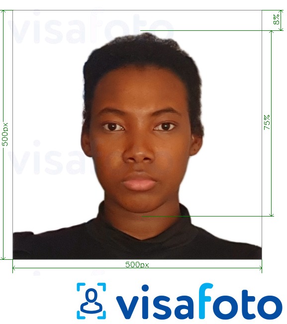 Example of photo for Cameroon visa online 500x500 px with exact size specification