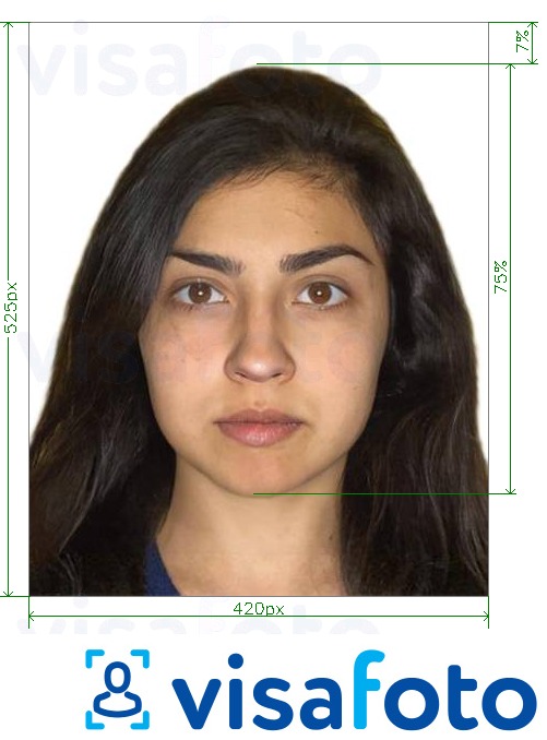 Example of photo for India online driving licence 420x525 pixels with exact size specification