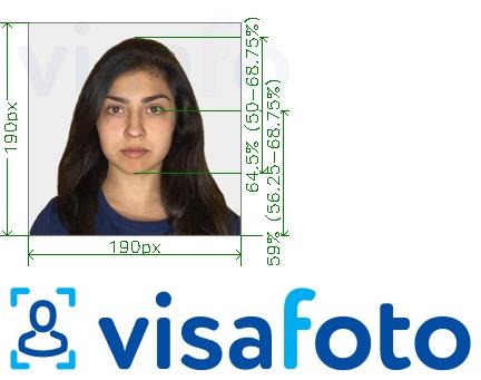 Halimbawa ng larawan para sa India Visa 190x190 px sa pamamagitan ng VFSglobal.com na may eksaktong sukat na detalye
