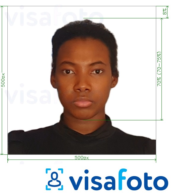 Example of photo for Kenya e-visa online 500x500 pixels with exact size specification