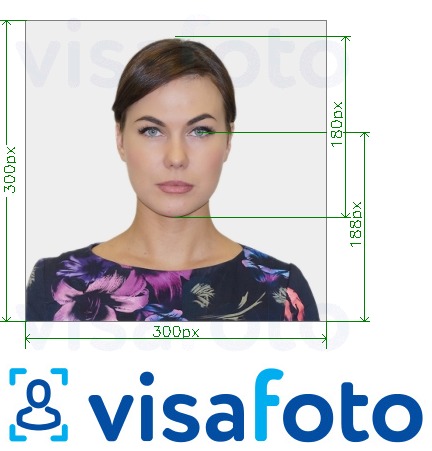 Образец фотографии для OneCard государственного университета Уэйна 300x300 пикселей с точными размерами