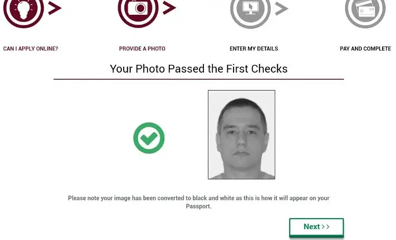 Ireland passport application photo upload result screen