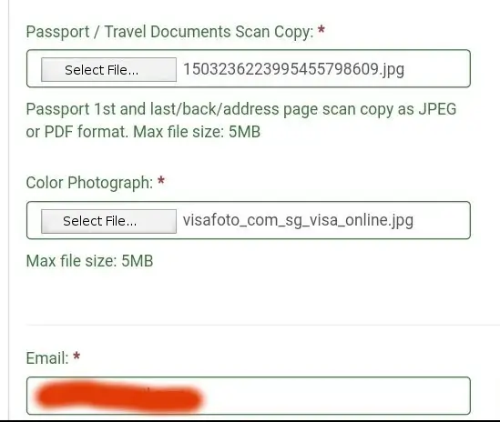 Singapore visa photo application screen