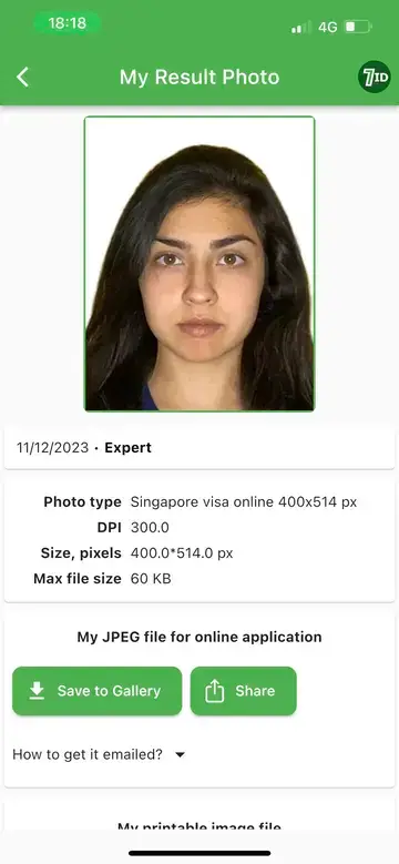 Singapur Vize Fotoğraf Örneği