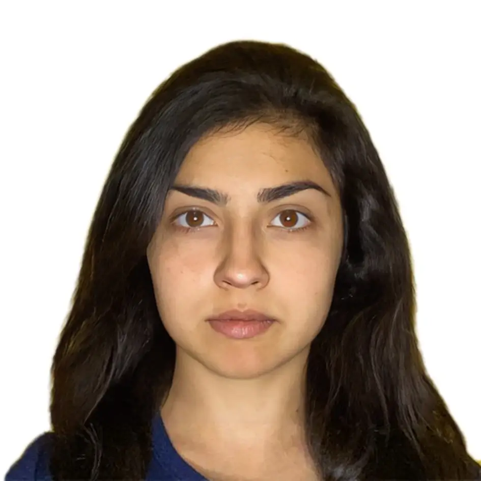 Example of the Armenian e-visa photo