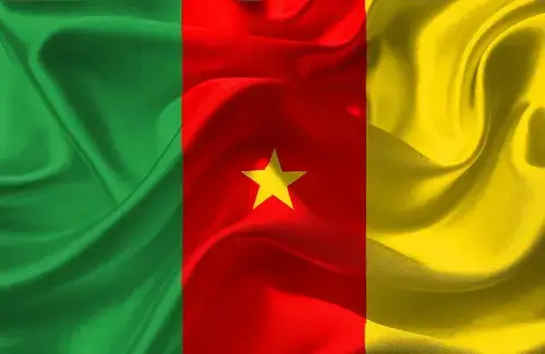 Cameroon Visa Guide: Cameroon Flag