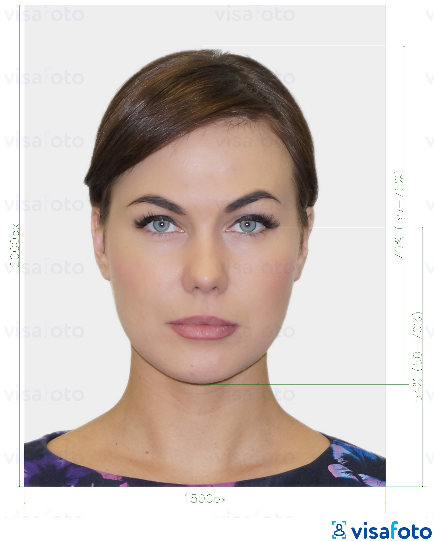 free passport photo tool online