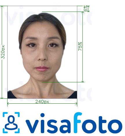 Example of photo for Singapore EZ-Link card 240x320 pixels with exact size specification
