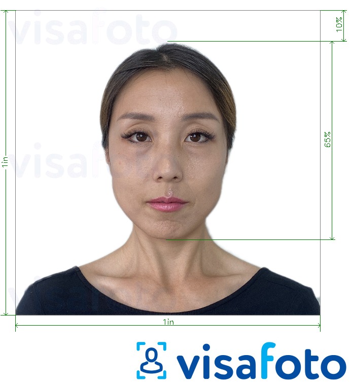 Example of photo for Thailand license 1x1 photo with exact size specification