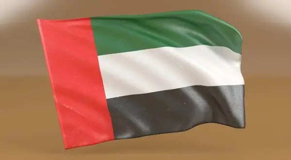 UAE visa online