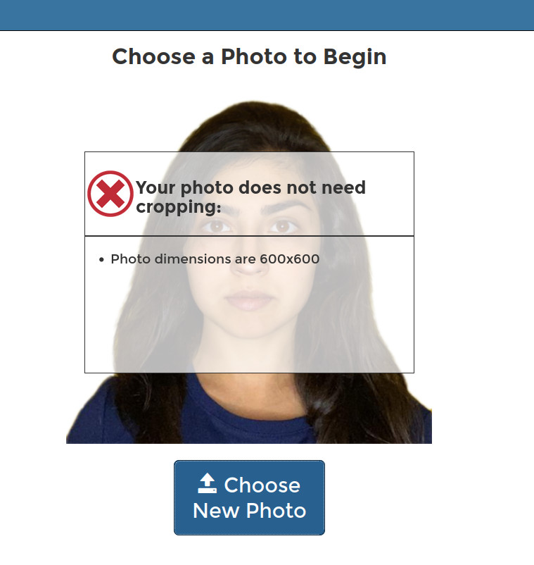 photo cropping tool for us visa